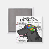 Black Labrador Brain Atlas Magnet (Vorderseite/Rückseite)