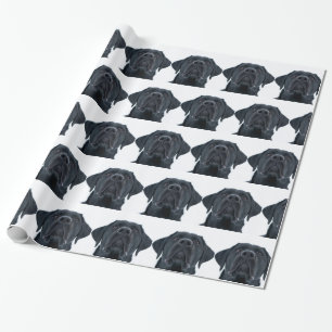 Black Labrador Facing Geschenkpapier