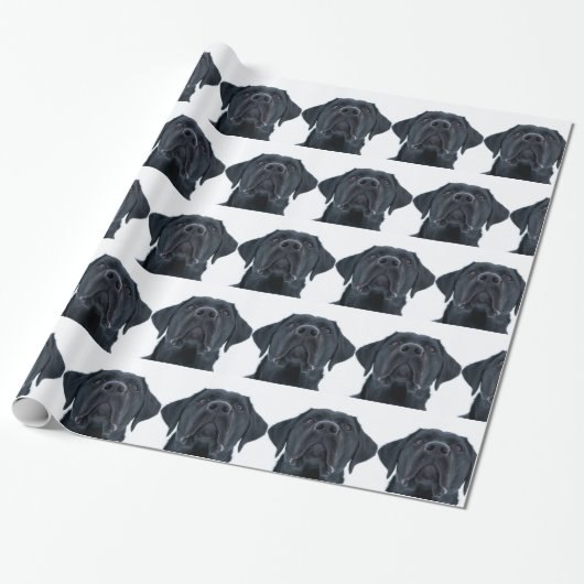 Black Labrador Facing Geschenkpapier (Ungerollt)