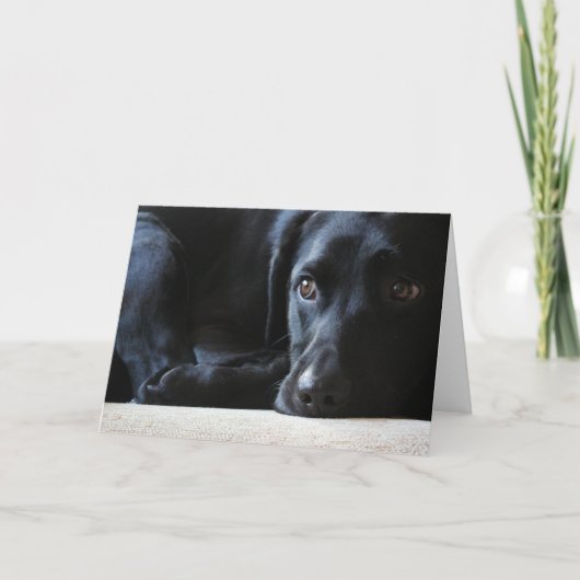 Black Labrador Feiertagskarte (Vorderseite)