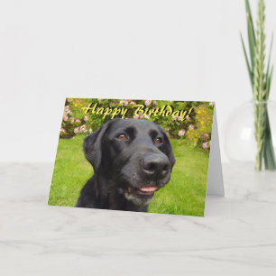 Black Labrador Geburtstagskarte Karte