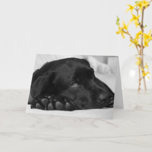 Black Labrador Get Well Card Karte (Gelbe Blume)