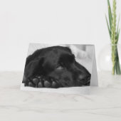Black Labrador Get Well Card Karte (Vorderseite)