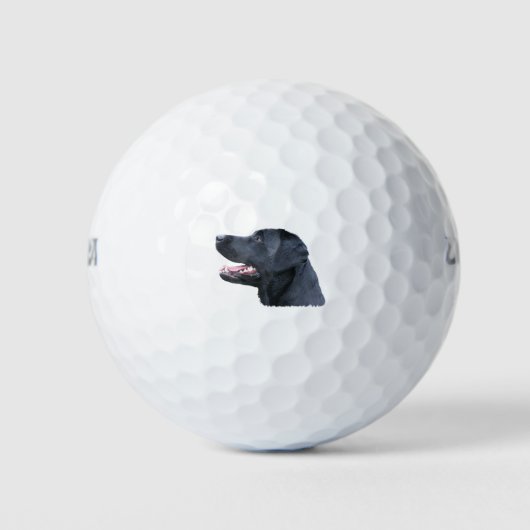 Black Labrador Golfball (Vorderseite)
