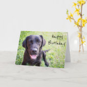 Black Labrador Happy Birthday Card Karte (Gelbe Blume)