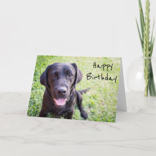 Black Labrador Happy Birthday Card Karte (Vorderseite)