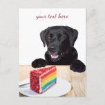 Black Labrador - Happy Birthday - Danke - Hund Postkarte<br><div class="desc">Senden Sie eine süße Nachricht mit dieser Black Lab All-Anlass-Postkarte !</div>