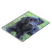 Black Labrador Hund Lover Puppy Notizblock (Linke Seite)