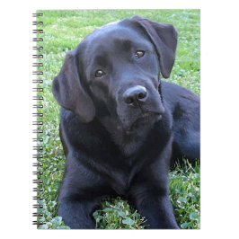 Black Labrador Hund Lover Puppy Notizblock