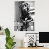 Black Labrador Hund Poster Print (Heimbüro)