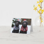 Black Labrador Hunde Weihnachtskarte Karte (Gelbe Blume)