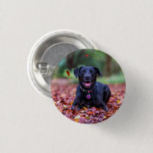 Black Labrador In Fall Leaves Button (Vorne & Hinten)