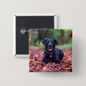 Black Labrador In Fall Leaves Button (Vorne & Hinten)