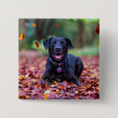 Black Labrador In Fall Leaves Button (Vorderseite)