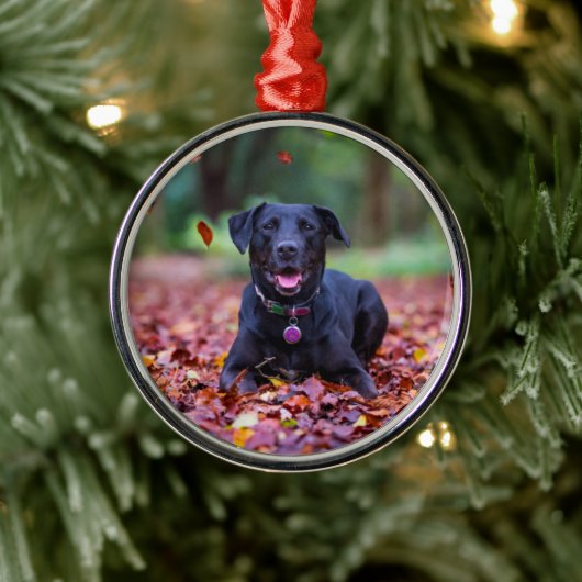 Black Labrador In Fall Leaves Ornament Aus Metall (Baum)