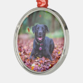 Black Labrador In Fall Leaves Ornament Aus Metall (Links)