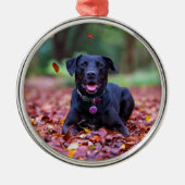 Black Labrador In Fall Leaves Ornament Aus Metall (Vorne)