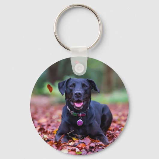 Black Labrador In Fall Leaves Schlüsselanhänger (Vorderseite)