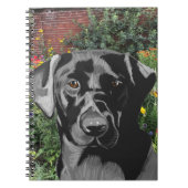 Black Labrador in Garden Notizblock (Vorderseite)