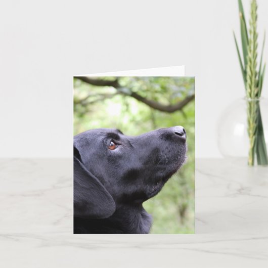Black Labrador Karte (Vorderseite)