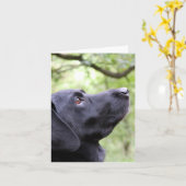 Black Labrador Karte (Gelbe Blume)