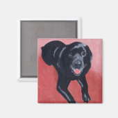 Black Labrador Lächeln Magnet (Vorderseite/Rückseite)
