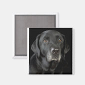 Black Labrador Magnet (Vorderseite/Rückseite)