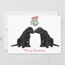 Black Labrador Mistletoe Niedlich Dog Puppy
