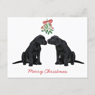 Black Labrador Mistletoe Niedlich Dog Puppy Feiertagspostkarte