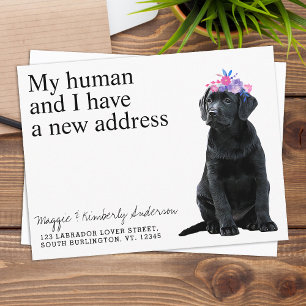 Black Labrador New Address Dog Moving Ankündigung Postkarte