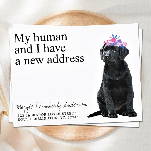 Black Labrador New Address Dog Moving Ankündigungspostkarte