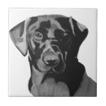 Black Labrador Portrait  Fliese<br><div class="desc">Diese Keramik-Kachel zeigt mein Portrait eines Black Labrador Retriever vor einem schlichten,  weißen Hintergrund. Ich habe aus erster Hand Kenntnisse über diese schönen Hunde und das Portrait basiert auf einem lieben Haustier der Familie. Diese Kachel wäre ein schönes Geschenk.</div>