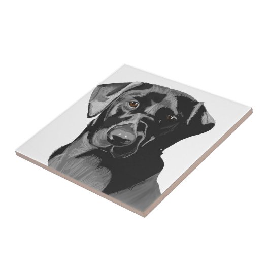Black Labrador Portrait Fliese (Seite)