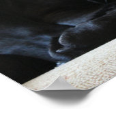 Black Labrador Poster (Ecke)
