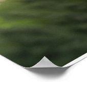 Black Labrador Poster (Ecke)