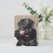 Black Labrador Postkarte (Stehend Vorderseite)