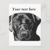Black Labrador Postkarte (Vorderseite)