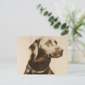 Black Labrador Postkarte (Stehend Vorderseite)