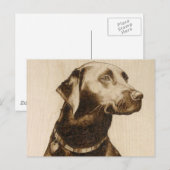 Black Labrador Postkarte (Vorne/Hinten)