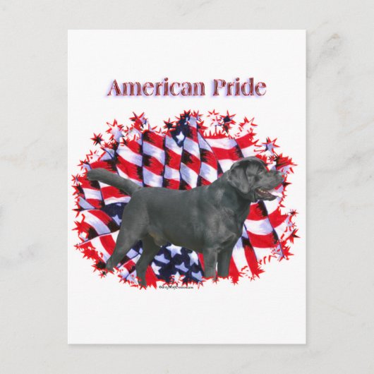 Black Labrador Pride Postkarte (Vorderseite)