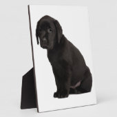 Black Labrador Puppy Fotoplatte (Seite)
