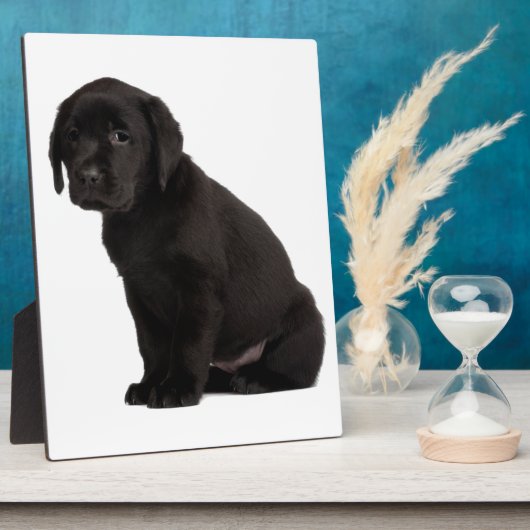 Black Labrador Puppy Fotoplatte (Seite)