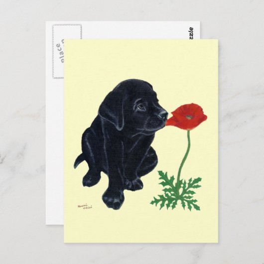 Black Labrador Puppy Postkarte (Vorne/Hinten)