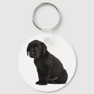 Black Labrador Puppy Schlüsselanhänger