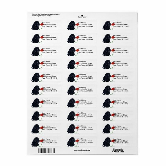 Black Labrador Puppy und Poppy (Vorne)