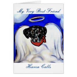 Black Labrador Retriever