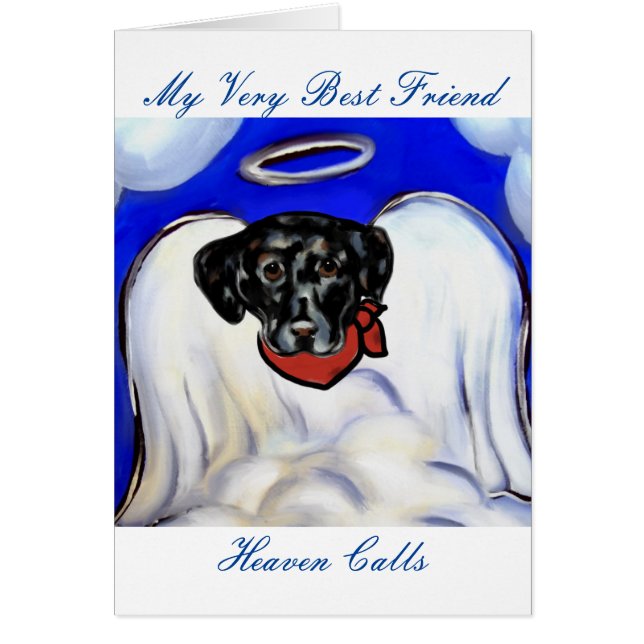 Black Labrador Retriever (Vorne)