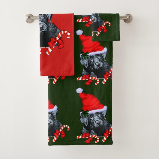 Black Labrador Retriever Badhandtuch Set (Insitu)