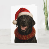 Black Labrador Retriever Christmas card Karte (Vorderseite)