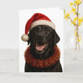 Black Labrador Retriever Christmas card Karte (Gelbe Blume)